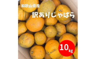 訳あり じゃばら 10kg (56〜88玉)