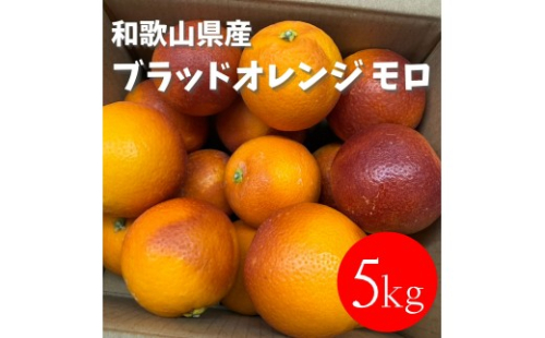 和歌山 有田 ブラッドオレンジ モロ 5kg 2596567 - 和歌山県有田川町