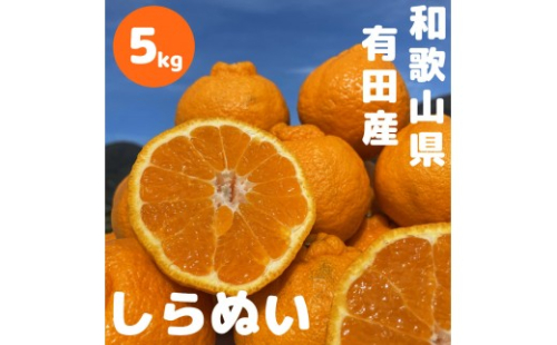 和歌山 有田 不知火 しらぬい 5kg 2596568 - 和歌山県有田川町