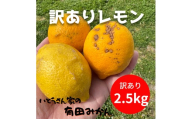 訳あり 国産 レモン 2.5kg (14～22玉)
