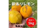 訳あり 国産 レモン 5kg (32〜40玉)