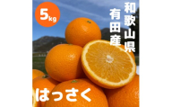和歌山 有田 はっさく 5kg