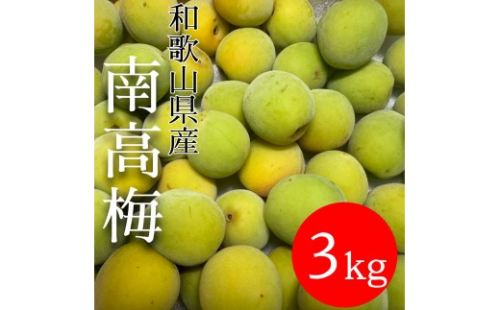 青梅 南高梅 3kg 2596577 - 和歌山県有田川町