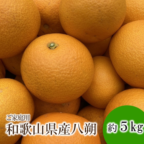和歌山県産八朔約5kg（ご家庭用） 2596970 - 和歌山県御坊市
