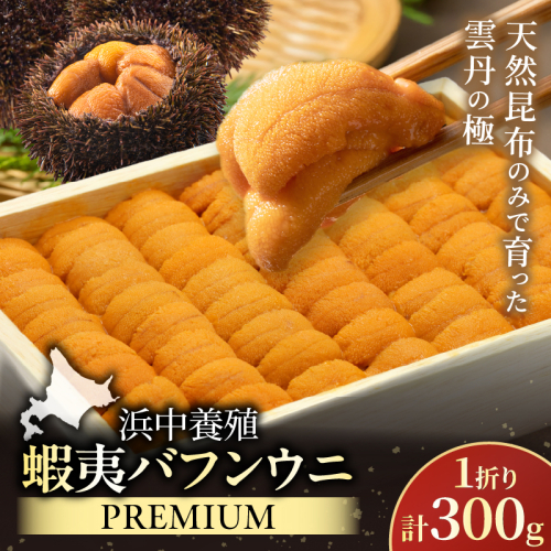 ≪浜中養殖≫蝦夷バフンウニ(300g)折箱入り_H0038-103 2597055 - 北海道浜中町