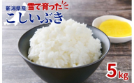 新潟県産　こしいぶき精米5kg