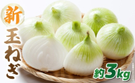 この時期にしか味わえない、みずみずしく甘み豊かな「新玉ねぎ」約3kg |玉ねぎ 新玉ねぎ 野菜 甘い オニオン 香川 香川県 三木町 みずみずしい |_mk006-113