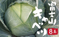 【2026年出荷分先行予約】富士山キャベツ　9kg