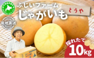 ＜先行予約＞北海道産 じゃがいも(とうや) 約10kg【hjf-004】ジャガイモ 馬鈴薯 ポテト 芋 イモ 国産 野菜 人気 ふじいファーム