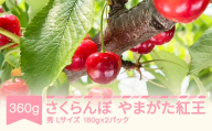 さくらんぼ やまがた紅王 2026年産 令和8年産 Lサイズ 360g(180g×2) バラ詰め 山形県産 フルーツ 果物 くだもの サクランボ ※沖縄・離島への配送不可 sb-ybslx360