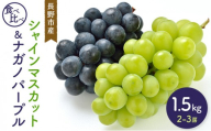 【セット】シャインマスカット＆ナガノパープル 1.5kg 2-3房