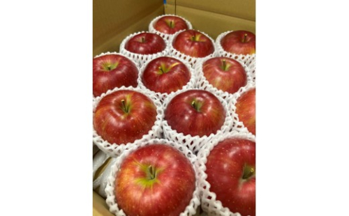 シナノスイート3kg 2597317 - 長野県長野市