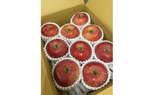 サンふじ3kg 2597319 - 長野県長野市