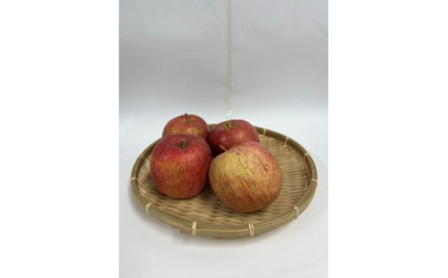 サンふじ（訳あり）3kg 2597322 - 長野県長野市