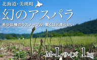 【先行予約！令和8年産】幻のアスパラ「ラスノーブル」L～Mサイズ 1kg グリーンアスパラ おおとり | グリーンアスパラ アスパラガス ラスノーブル あすぱら あすぱらがす 北海道 美瑛 美瑛町 北海道産 びえい 美瑛産 採れたて 新鮮 旬 産地直送 野菜[016-107]