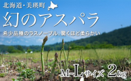 【先行予約！令和8年産】幻のアスパラ「ラスノーブル」L～Mサイズ 2kg グリーンアスパラ おおとり | グリーンアスパラ アスパラガス ラスノーブル あすぱら あすぱらがす 北海道 美瑛 美瑛町 北海道産 びえい 美瑛産 採れたて 新鮮 旬 産地直送 野菜[021-35]