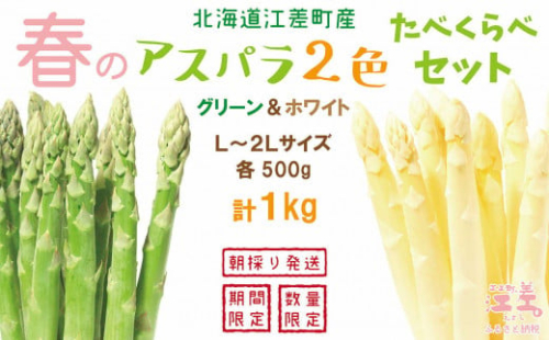 【春芽 順次発送中】2025年 北海道江差町産 「春」のアスパラ２色食べくらべセット 計1kg　ホワイトアスパラ 500g ＆ グリーンアスパラ 500g　L～2Lサイズ　朝採り　農家直送　みずみずしい　新鮮　アスパラガス