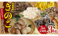 【 3ヶ月 連続定期便 】 きのこ の 詰め合わせ Sサイズ 約1kg 大容量 キノコ 舞茸 あわび茸 たもぎ茸 しいたけ 花びら茸 セット 鍋 炒め物 茨城県 (AU007)