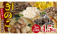 【 3ヶ月 連続定期便 】 きのこ の 詰め合わせ Mサイズ 約1.5kg 大容量 キノコ 舞茸 あわび茸 たもぎ茸 しいたけ 花びら茸 セット 鍋 炒め物 茨城県 (AU008)