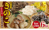 【 6ヶ月 隔月定期便 】 きのこ の 詰め合わせ Sサイズ 約1kg 大容量 キノコ 舞茸 あわび茸 たもぎ茸 しいたけ 花びら茸 セット 鍋 炒め物 茨城県(AU010)