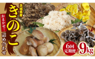 【 6ヶ月 隔月定期便 】 きのこ の 詰め合わせ Mサイズ 約1.5kg 大容量 キノコ 舞茸 あわび茸 たもぎ茸 しいたけ 花びら茸 セット 鍋 炒め物 茨城県(AU011)