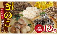 【 6ヶ月 隔月定期便 】 きのこ の 詰め合わせ Lサイズ 約2kg 大容量 キノコ 舞茸 あわび茸 たもぎ茸 しいたけ 花びら茸 セット 鍋 炒め物 茨城県(AU012)