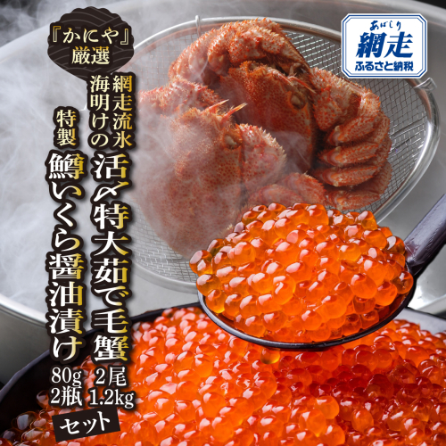 かにやの厳選網走流氷海明けの「活〆特大茹で毛蟹2尾で1.2kg」と「特製鱒いくら醤油漬け80g×2瓶」セット ABAO128 2597830 - 北海道網走市