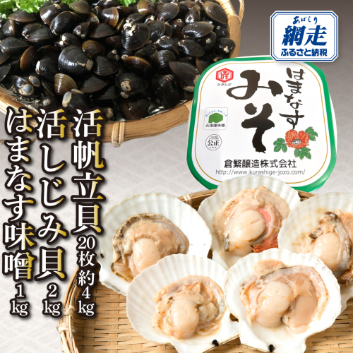 活帆立貝20枚約4kgと活しじみ貝2kgとはまなす味噌1kgセット ABAO131 2597848 - 北海道網走市