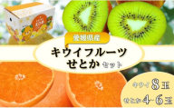 【2027年先行予約】みかん キウイ 愛媛 せとかとグリーンキウイのセット せとか グリーンキウイ 【2027年2月中旬より発送予定】 人気 数量限定 柑橘 伊予市｜B544