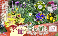 季節 の 寄せ植え ( 内容 おまかせ ) | お花 flower フラワー ふらわー 花 はな ガーデニング ガーデン 外用 庭 植物 高品質 一年草 球根 宿根草 お任せ ギフトラッピング可 お楽しみ ギフト 誕生日 親孝行 プレゼント贈り物 テラコッタ製 鉢 マークスガーデンアート イギリス 英国流 フラワーポット 調布 東京都