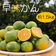 ZF171.【予約受付・期間限定商品】早味かん（1.5kg程度）2026年9月～10月配送【早味かん】