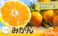 先行予約 赤秀 みかん 旬 柑橘 蜜柑 鶴田農園 約3kg 《9月中旬-1月下旬頃出荷》極早生 早生 中生 晩生 フルーツ 果物 秋 旬 熊本県 荒尾市産 贈答 ギフト オレンジ 人気 おすすめ