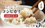 ＜定期便12ヶ月＞ 令和8年産米 西会津産米 至福米コシヒカリ 玄米 5kg F4D-2364