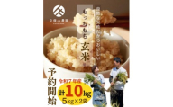 【特別栽培米】【農家直送】令和7年産 久保山百年米 玄米 10kg【5kg×2袋】夢つくし/元気つくし【 玄米 お米 米 ご飯 ごはん ブランド 元気つくし 夢つくし 小分け 福岡県 筑前町 】