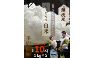 【特別栽培米】令和7年産【つやつやの無洗米】【5kg×2袋】計10kg 農家直送でお届け致します!!【無洗米 お米 米 ご飯 ごはん ブランド 元気つくし 夢つくし 小分け 福岡県 筑前町】