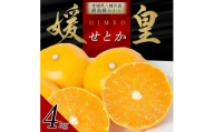 【先行受付】 最高級みかん 媛皇 せとか 4kg 愛媛県 八幡浜市 西宇和地区 柑橘の女王＜F25-295＞【1712701】 YWTAP236