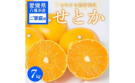 【先行受付】 ＜ご家庭用＞せとか 7kg みかん 愛媛県 八幡浜産市 西宇和地区 柑橘の女王＜E25-297＞【1712729】 YWTAP238