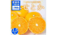 【先行受付】 ＜ご家庭用＞せとか 1.5kg みかん 愛媛県 八幡浜産市 西宇和地区 柑橘の女王＜C25-299＞【1713013】 YWTAP240