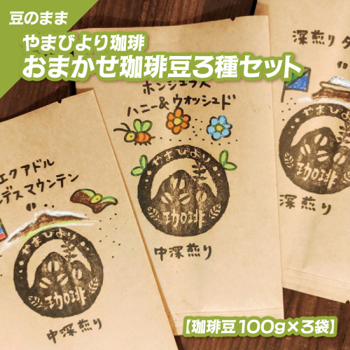 【豆のまま】やまびより珈琲 おまかせ珈琲豆3種セット【珈琲豆100g×3袋】 HNNAF006 2598442 - 埼玉県飯能市