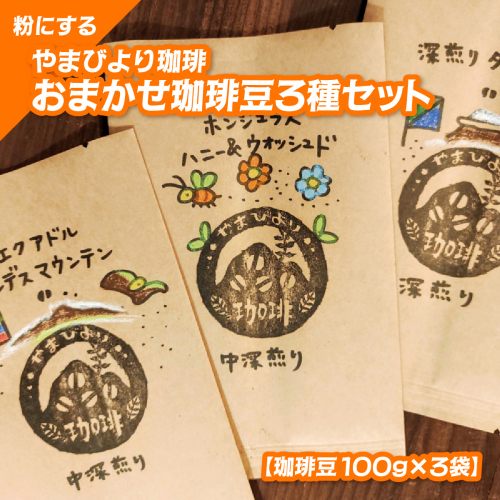 【粉にする】やまびより珈琲 おまかせ珈琲豆3種セット【珈琲豆100g×3袋】 HNNAF007 2598443 - 埼玉県飯能市