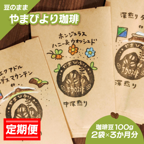 【定期便】【豆のまま】やまびより珈琲【珈琲豆100g 2袋×3か月分】 HNNAF008 2598444 - 埼玉県飯能市