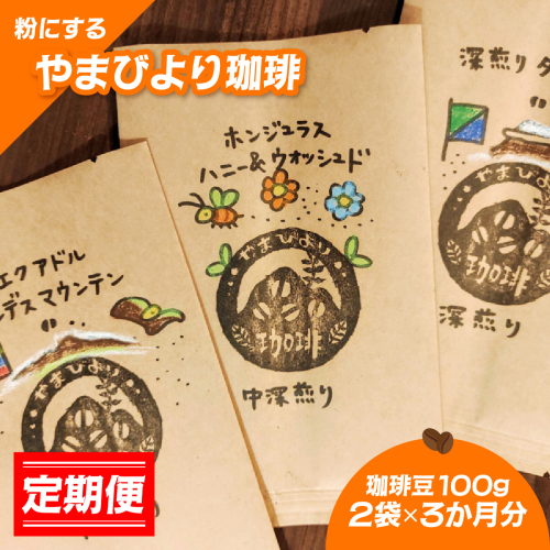 【定期便】【粉にする】やまびより珈琲【珈琲豆100g 2袋×3か月分】 HNNAF009 2598445 - 埼玉県飯能市