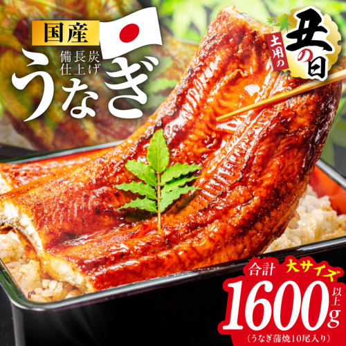 【土用の丑の日】国産うなぎ蒲焼 1600g以上（大サイズ10尾）【レンチン 湯煎対応 簡単調理 鰻 ウナギ 人気総菜 日本産 特別規格】 kgp0135d 2598570 - 大阪府泉佐野市