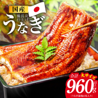 【特別規格】国産うなぎ蒲焼 960g以上（大サイズ6尾）【レンチン 湯煎対応 簡単調理 鰻 ウナギ 人気総菜 日本産 土用の丑の日にも】 kgp0133