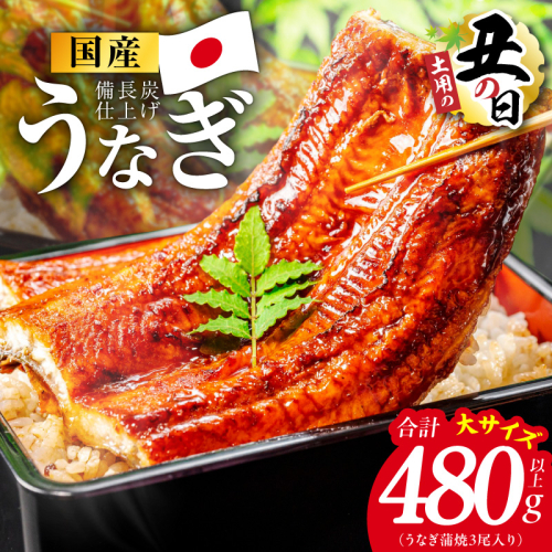 【土用の丑の日】国産うなぎ蒲焼 480g以上（大サイズ3尾）【レンチン 湯煎対応 簡単調理 鰻 ウナギ 人気総菜 日本産 特別規格】 kgp0130d 2598579 - 大阪府泉佐野市