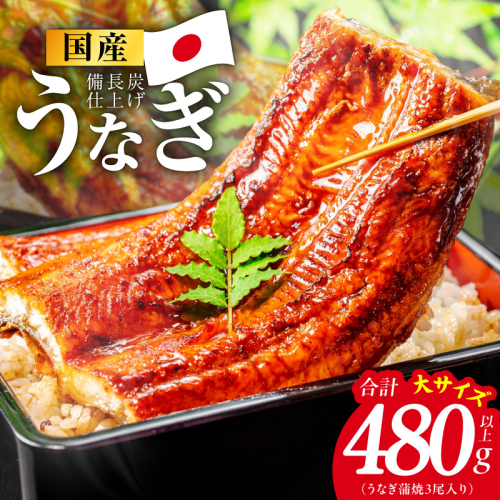 【特別規格】国産うなぎ蒲焼 480g以上（大サイズ3尾）【レンチン 湯煎対応 簡単調理 鰻 ウナギ 人気総菜 日本産 土用の丑の日にも】 kgp0130 2598581 - 大阪府泉佐野市