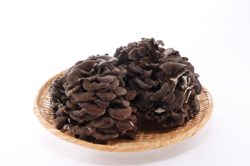 黒舞茸「真」 1kg HNNAW001 2598639 - 埼玉県飯能市