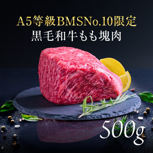 A5等級 BMSNo.10限定 黒毛和牛もも塊肉 ブロック 500g HNNBE002 2598657 - 埼玉県飯能市