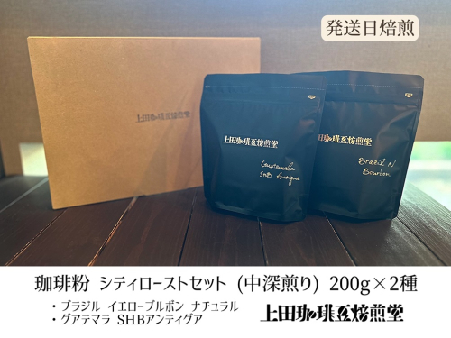 【上田珈琲豆焙煎堂】珈琲豆 中深煎り セット 200g×2種 セット ブラジルブルボン・グアテマラSHB【粉】 HNNBM008 2598682 - 埼玉県飯能市