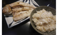 高級魚・白甘鯛ご飯と一夜干し＜E26-10＞_干物 ひもの ヒモノ 一夜干し 冷凍 アマダイ 甘鯛 セット 食べ比べ 愛媛 高級魚 【1254267】 YWTAK009